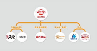 GA黄金甲食品品牌架构